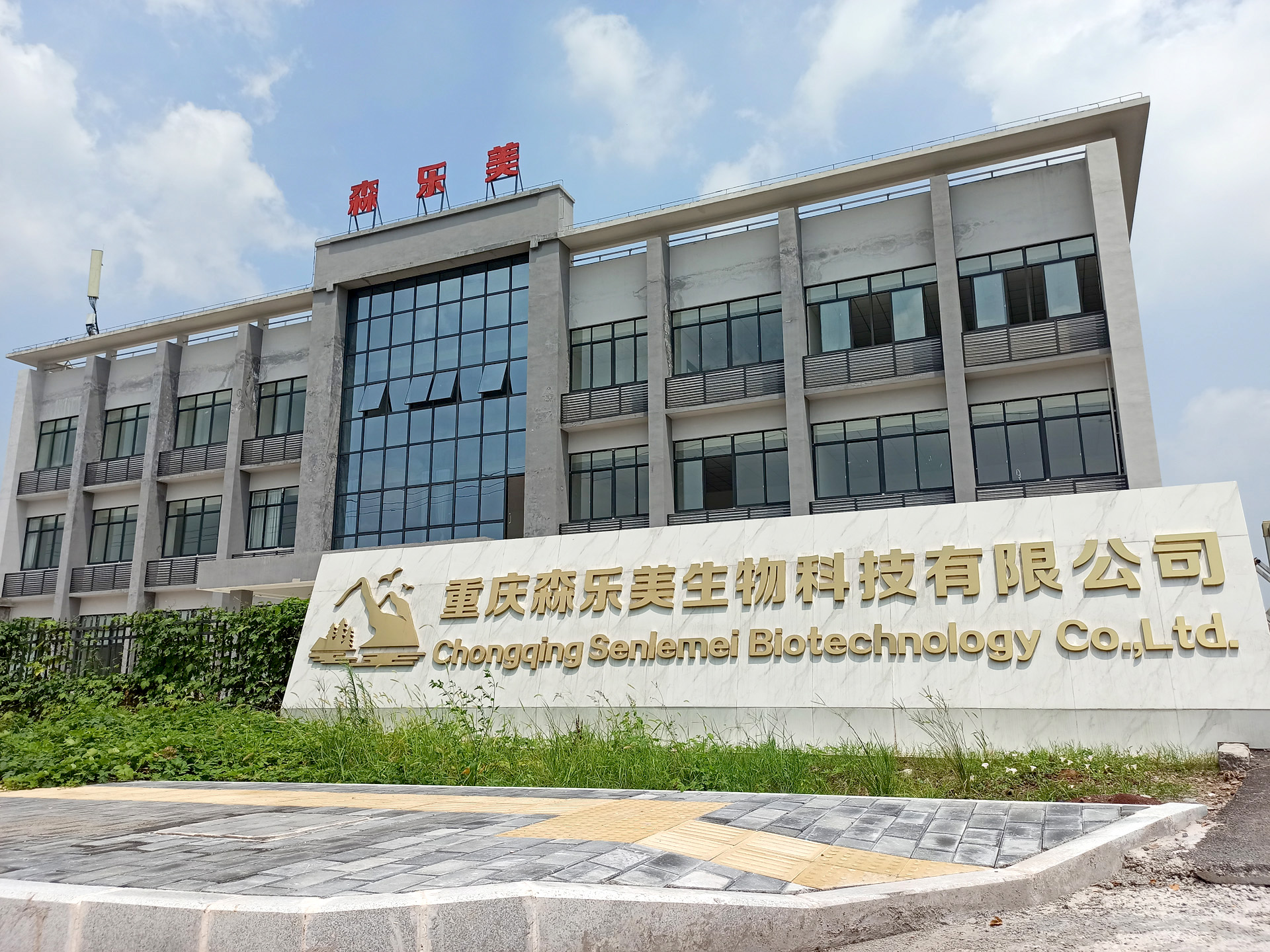 公司環境 